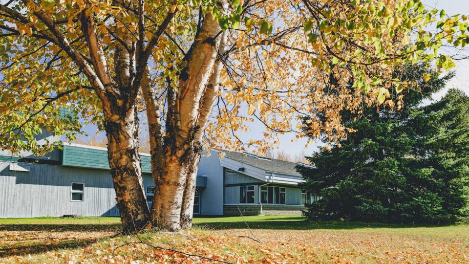 Northern Lights College (Dawson Creek) campus image 1