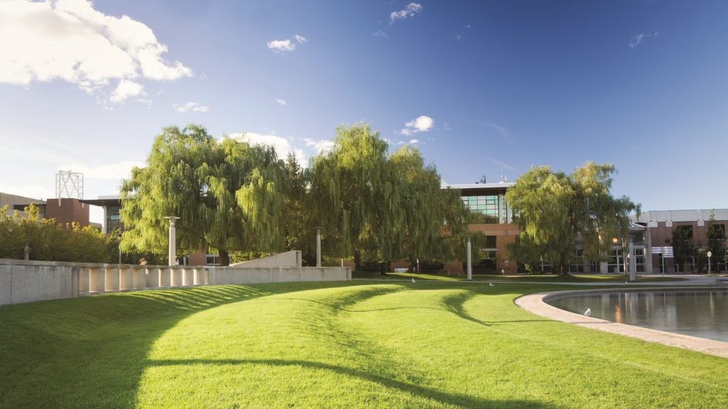 York University campus image 2
