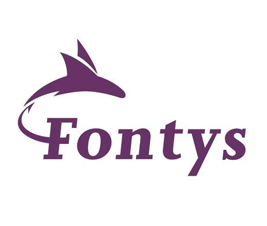 Logo Fontys University of Applied Sciences