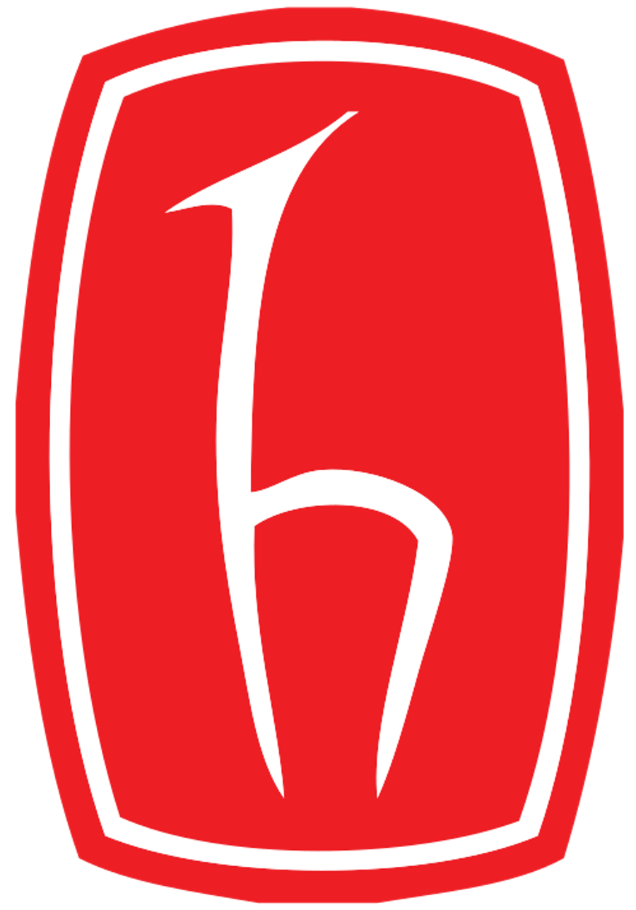 Logo Hacettepe University