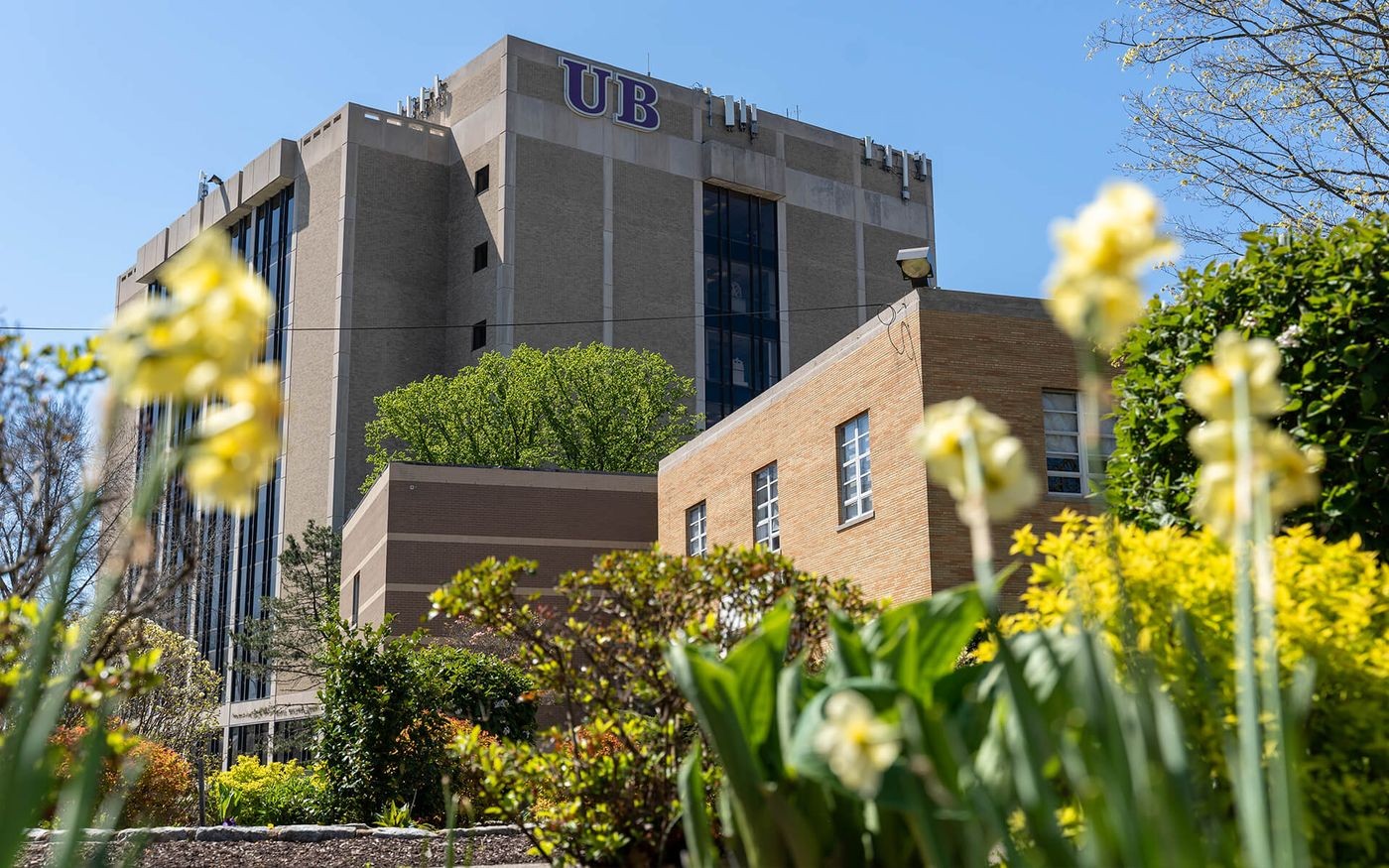 University of Bridgeport image 2