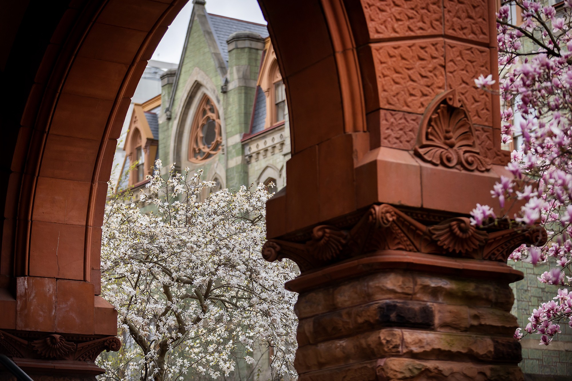 University of Pennsylvania image 2