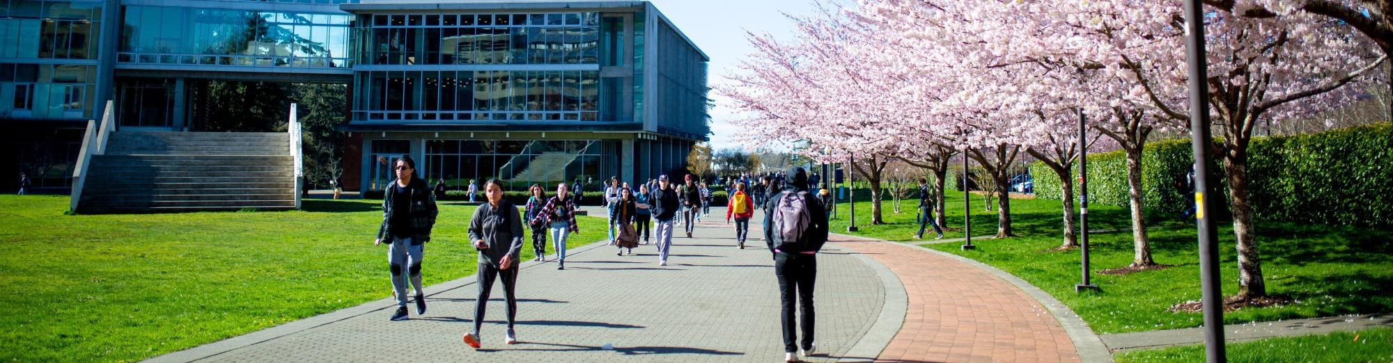 Western Washington University image 1
