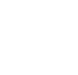 Logo Trường Trung học Lyndon Institute